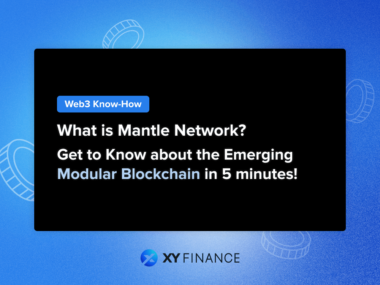 What is Mantle Network? Get to know about the Emerging Modular Blockchain in 5 minutes!