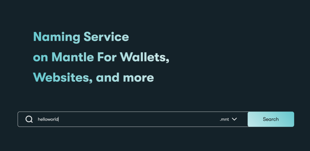 Ecosystem on Mantle - Mantle Name Service